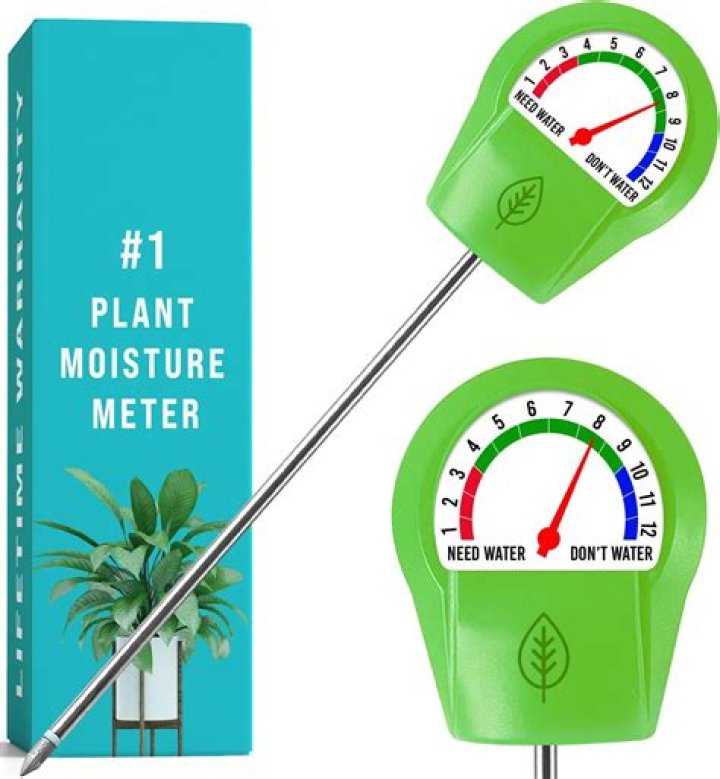 What soaks up moisture in a car?