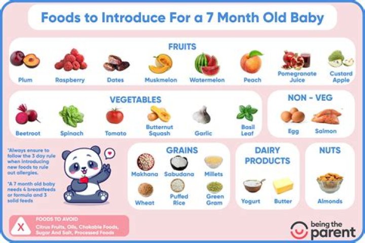 What solid foods can a 7 month old eat?