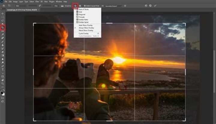 What to do after cropping ears?