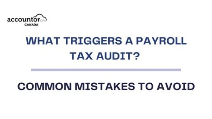 What triggers a payroll tax audit?