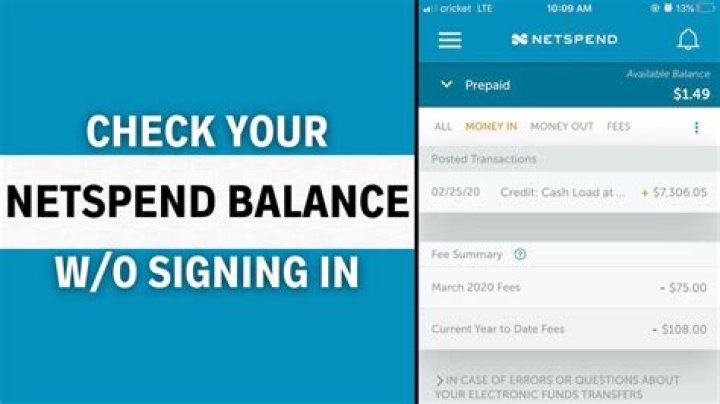What type of account is netspend?