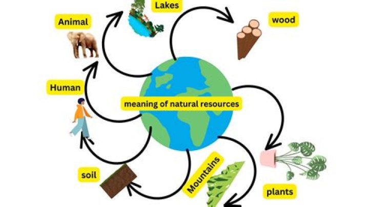 What types of resources come from the Amazon basin?