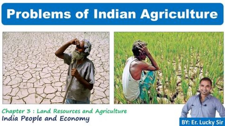 What were the problems faced by agriculture after independence?