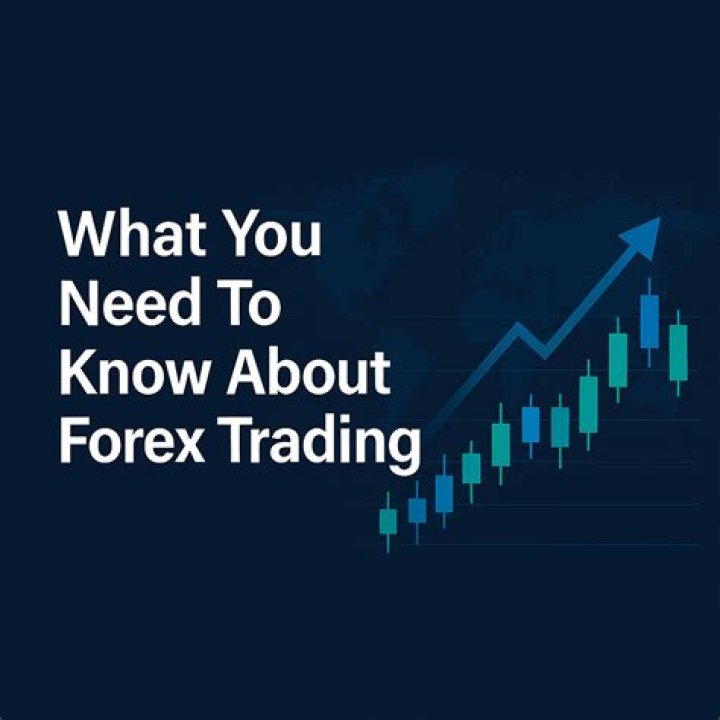 What you need to know about forex?