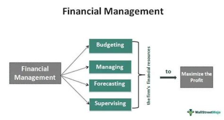 When did financial management start?