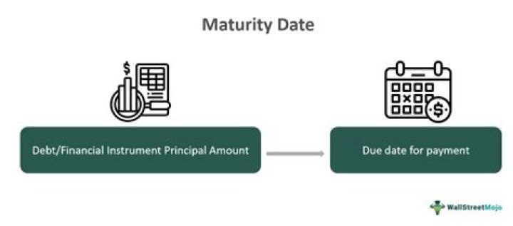 When is the maturity date for Fico strips?