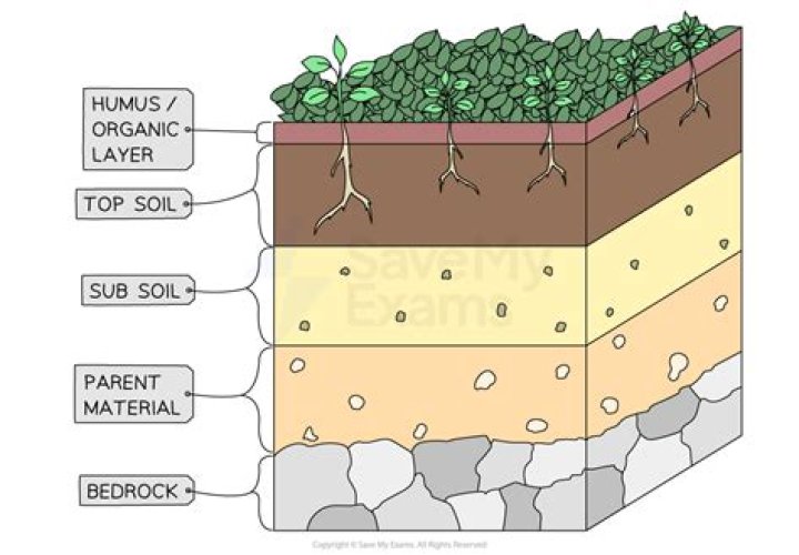 When should you put topsoil down?