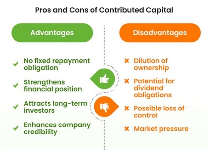 When the owner makes a capital contribution?