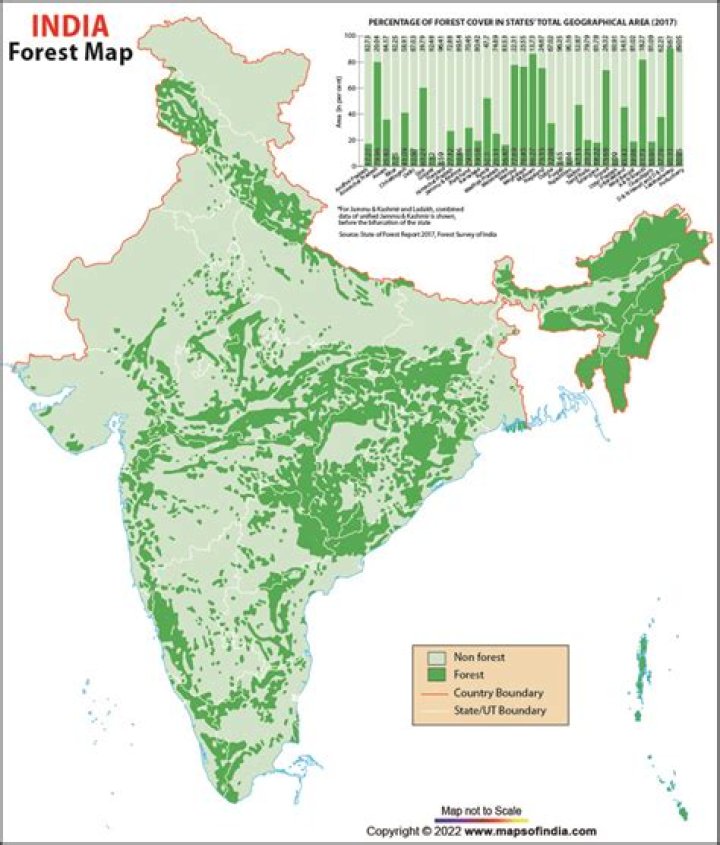 Where are evergreen forest found in India?