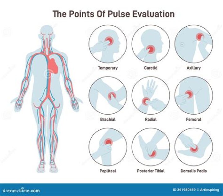 Where are reference points located?