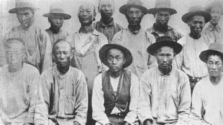 Where did Chinese people come from?