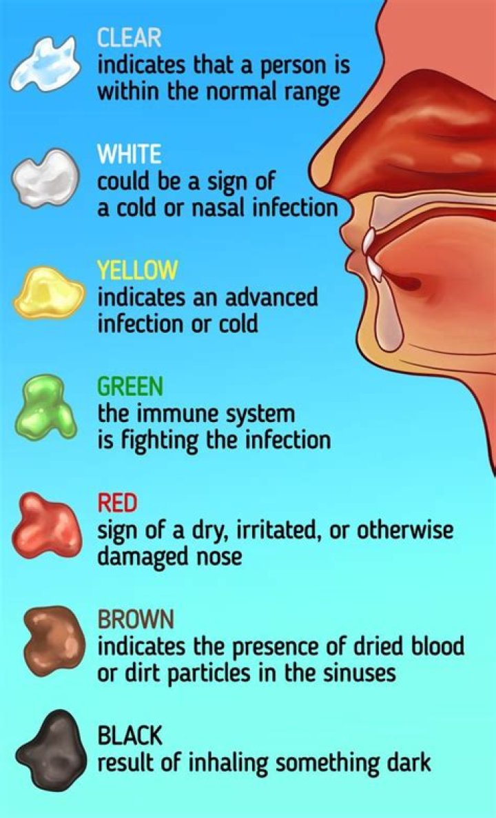 Where did the word snot come from?