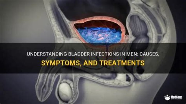 Where does a bladder infection hurt?