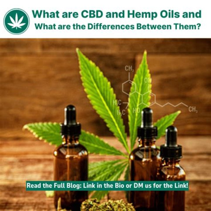 Where does CBD oil come from?
