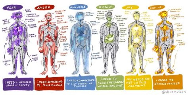 Where does the body hold trauma?