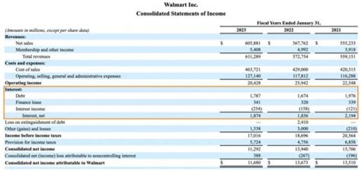 Where is interest expense on financial statements?