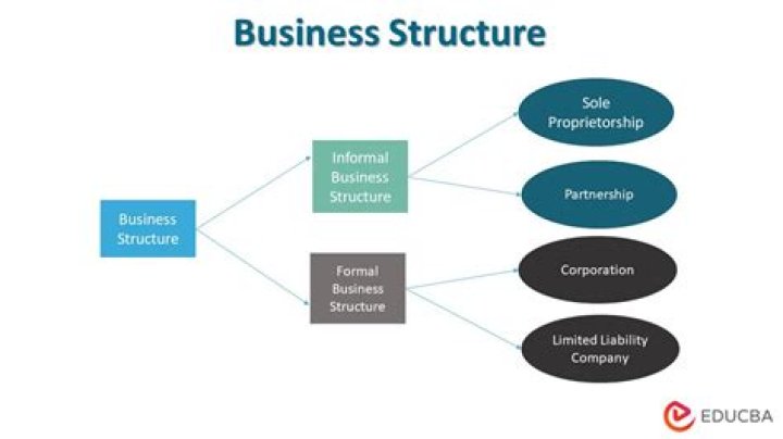 Which business structure is best for ecommerce?