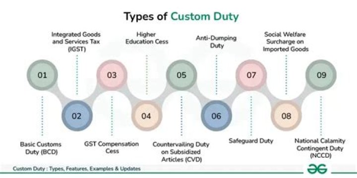 Which entry consider the duties of custom?