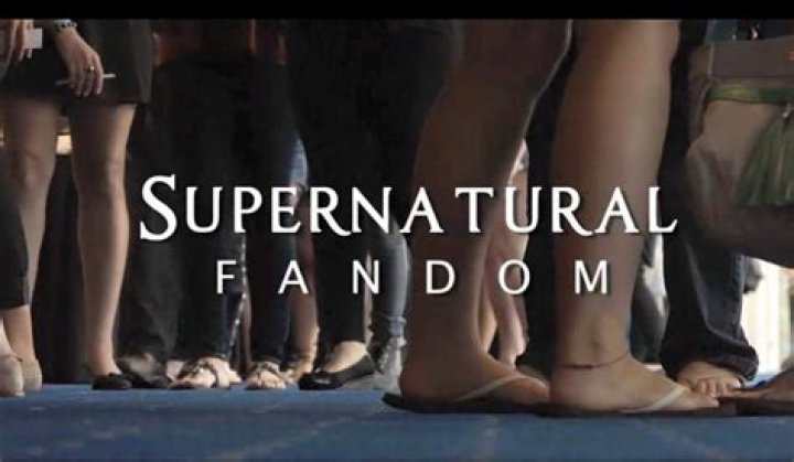 Which fandom is the biggest?