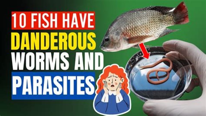 Which fish do not have parasites?