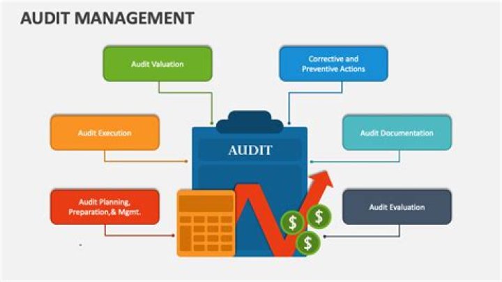 Which is also known as performance audit?