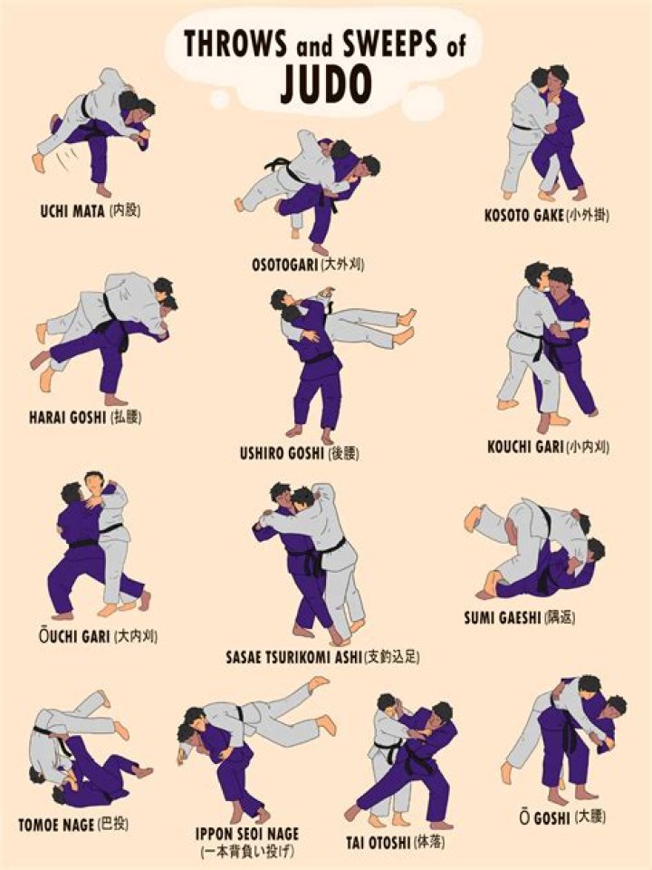 Which is better Jiu Jitsu or Aikido?