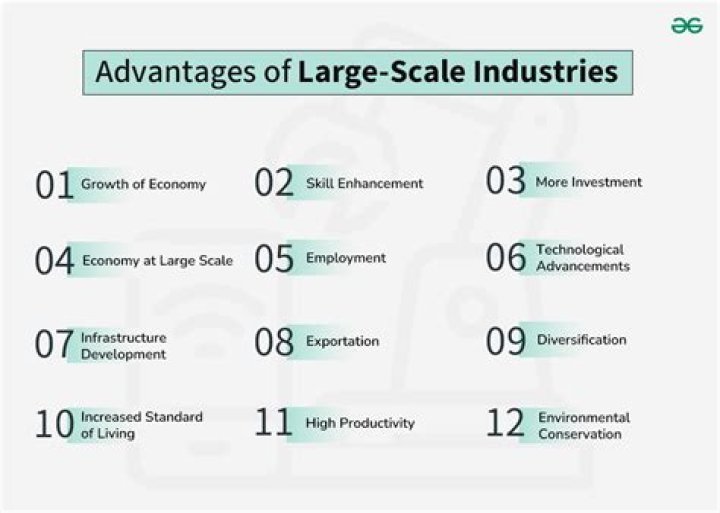 Which is the large scale industry?