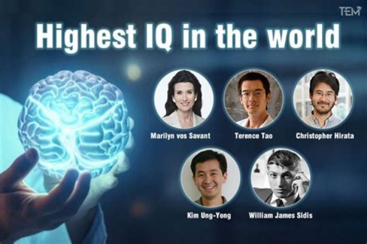 Which majors have the highest IQ?