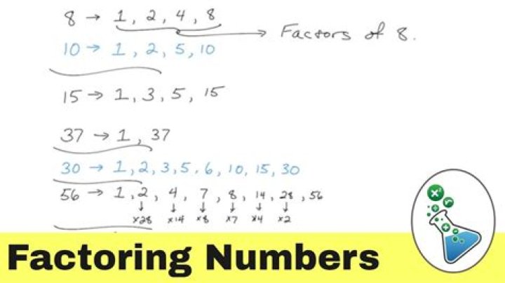 Which number has 2 and 3 as a factor?