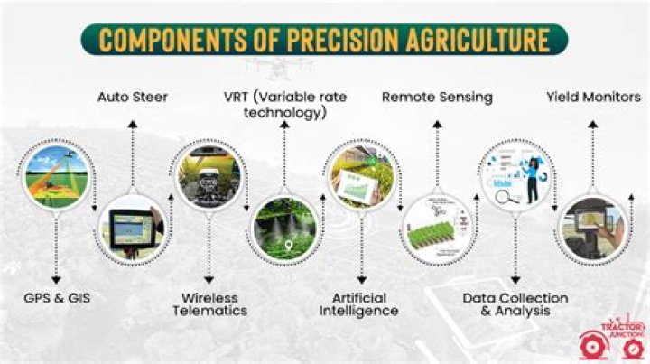 Which one is most precision?