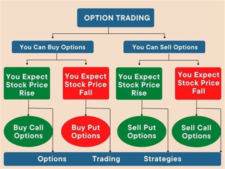 Which option trading service is best?