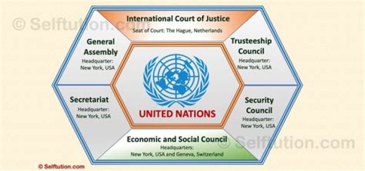 Which organization is responsible for making rules for international trade?