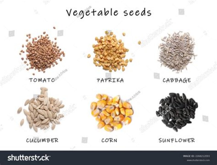 Which seeds are best for PCOD?