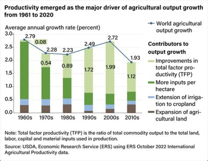 Which side has agriculture based on economy?
