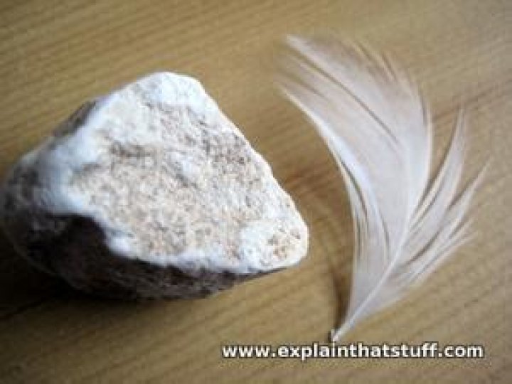 Which will fall faster feather or stone?