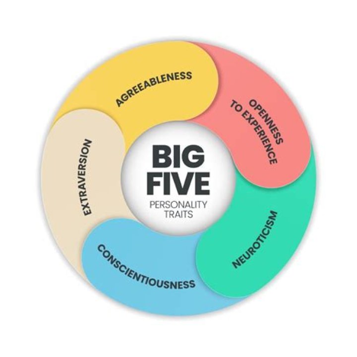 Who are the big 5 UN members?