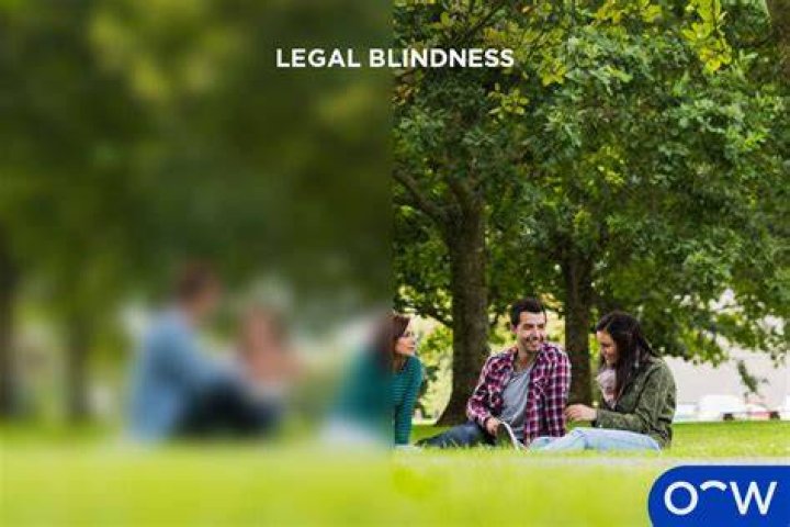 WHO declares someone legally dead?