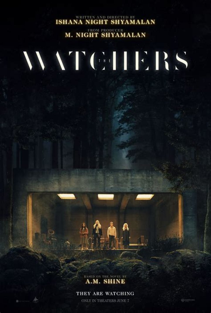 Who is turtle in watcher?