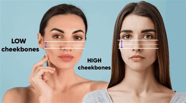 Why are sharp cheekbones attractive?