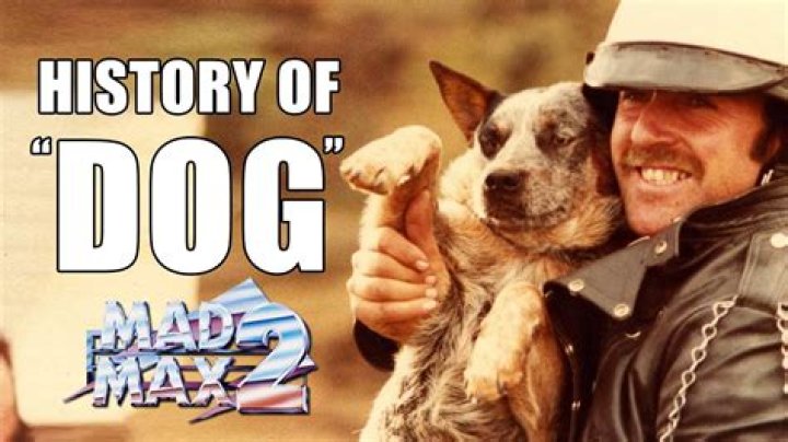 Why did Mad Max leave?