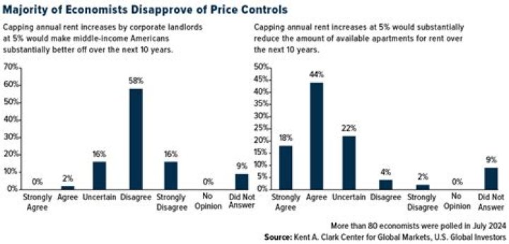 Why do economists often use graphs?