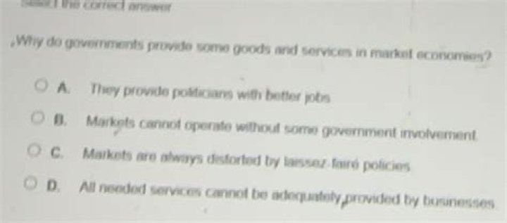 Why do governments provide some goods?