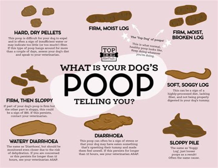 Why do I poo when I wee?