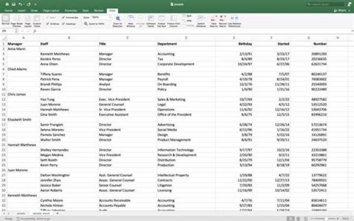 Why do Organisations use spreadsheets?