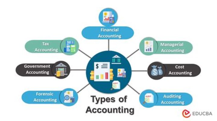 Why do they need accounting information?