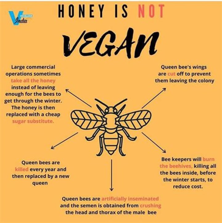 Why do vegans think honey is cruel?