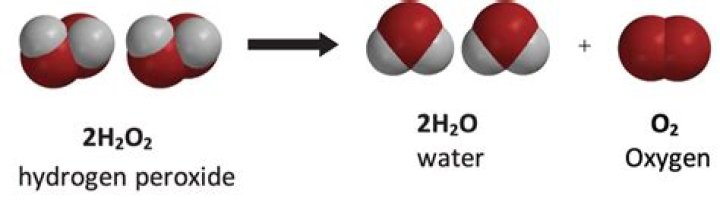 Why does boiled liver not react with hydrogen peroxide?