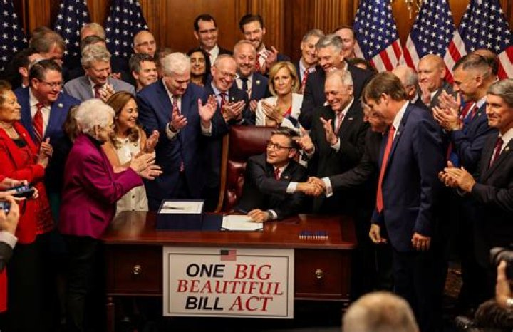Why does the government need accounting information?
