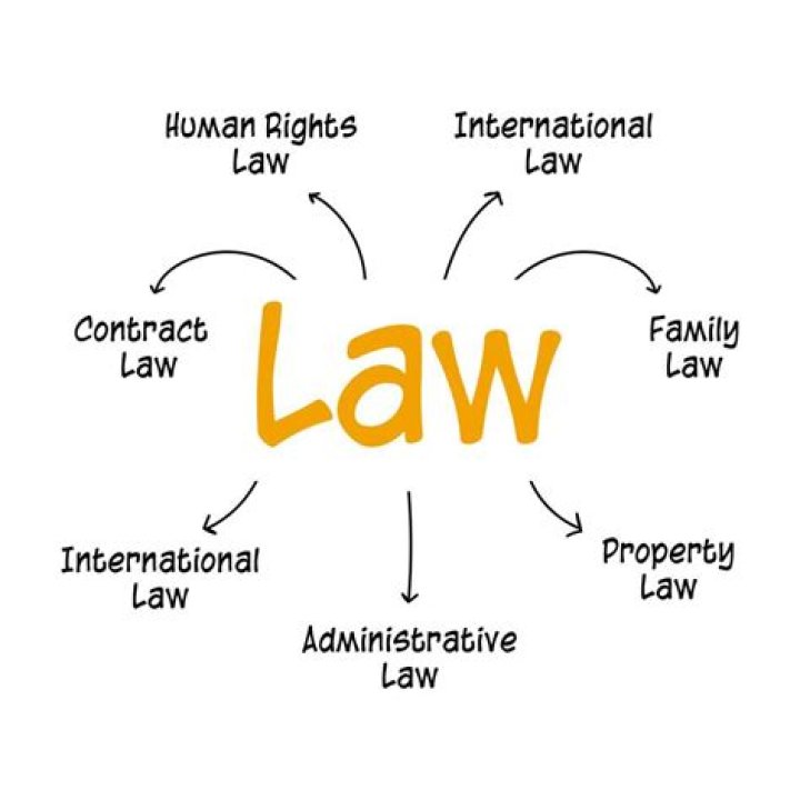 Why economic laws are different from other laws?