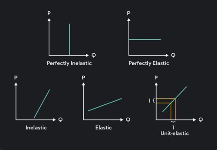 Why is elasticity important for policy makers?
